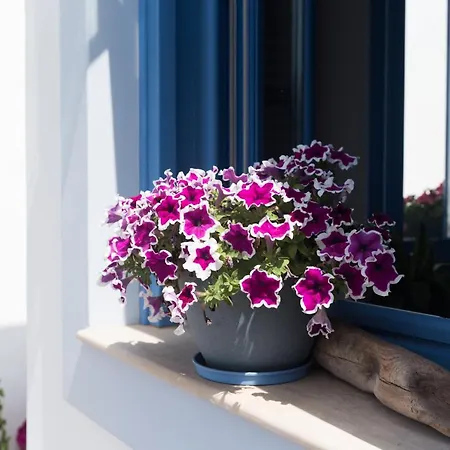 Angela Port Hotel Lipsi